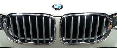 BMW OEM 2015-17 F25 X3 F26 X4 2015-18 X-Line Titanium Silver Front Grille Pair