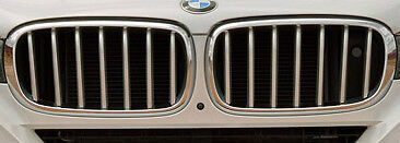 BMW OEM F15 F85 X5 F16 F86 X6 Pure Excellence Chrome Front Grille Brand New