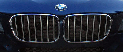 BMW Brand 2011-14 F25 X3 OEM Genuine Titanium Silver Front Grille Pair Brand New