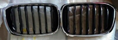 BMW OEM 2018+ G01 X3 2019+ G02 X4 M Sport Chrome With Black Front Grille Pair