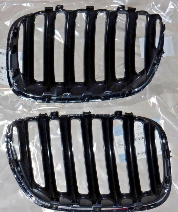 BMW OEM E53 X5 2004-2006 X5 Chrome Border With Black Slats Kidney Grille Pair