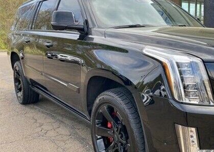 GM OEM Cadillac Escalade ESV Black Chrome Side Molding & Window 14 Pc. Trim Kit