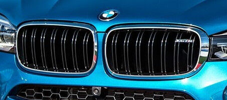 BMW 2015+ F16 F86 X6 M OEM Genuine X6 M Front Grille Pair Brand New