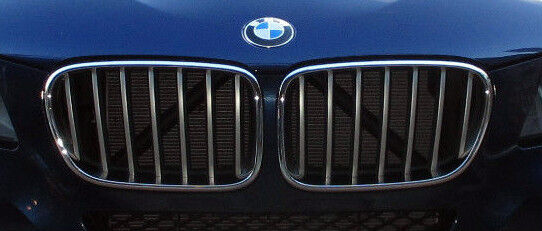 BMW Brand 2011-14 F25 X3 OEM Genuine Titanium Silver Front Grille Pair Brand New