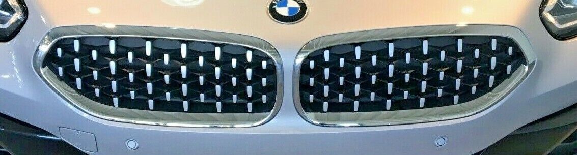 BMW OEM G29 2019+ Sport Line Chrome Front Grille Pair Brand New
