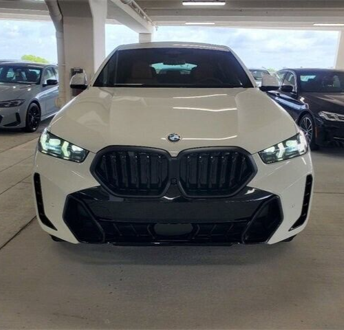 BMW OEM 2024+ G06 LCI X6 Front Grille Gloss Black Shadow-Line Brand Ne ...