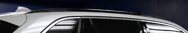 BMW Brand F15 X5 2014+ Genuine OEM Matt Matte Black Roof Rail Pair NEW OEM