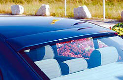 BMW Genuine Rieger E39 1997-2003 5 Series Sedan Rear Roof Spoiler NEW