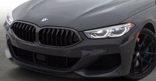 BMW OEM 2019+ G14 G15 G16 8 Series OEM M Sport Front Grille Black Shadowline New
