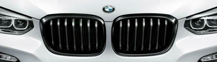 BMW OEM 2018+ G01 X3 2019+ G02 X4 Gloss Black Shadow-Line Front Grille Pair New
