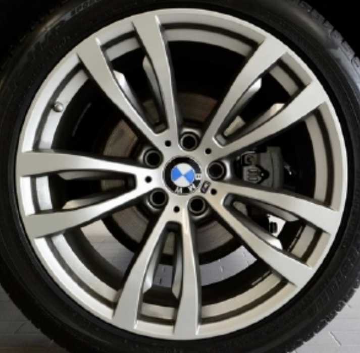 BMW OEM M Double Spoke E70 E70 F15 X5 E71 E72 F16 X6 Style 469 20" Silver Wheels